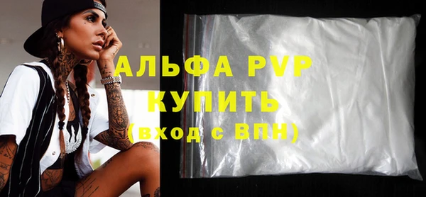 трава Корсаков