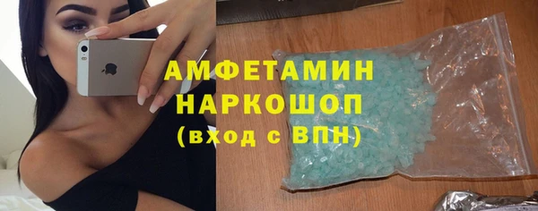 трава Корсаков
