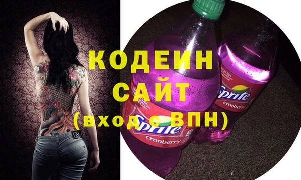 трава Корсаков