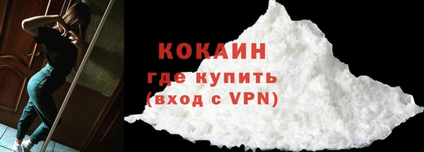 трава Корсаков