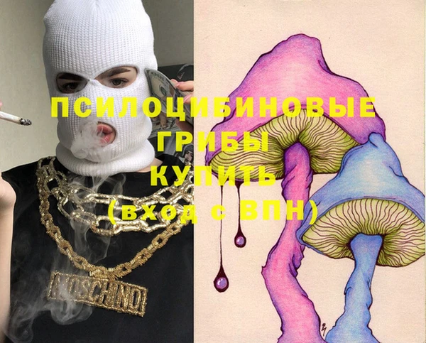 трава Корсаков