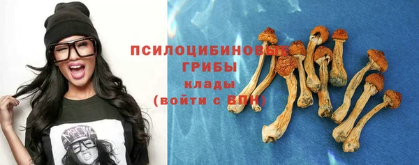 мяу мяу кристалл Коряжма