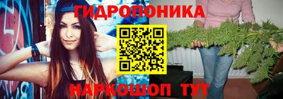 Альфа ПВП Гусев